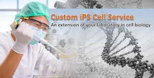 custome_ips_cells.png