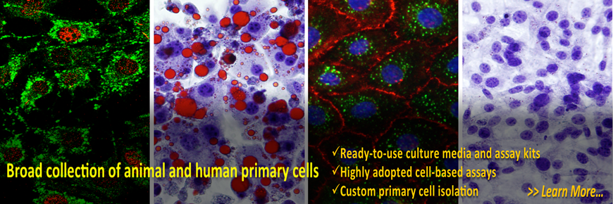 primary_cells.png