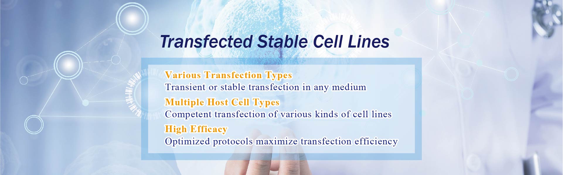 transfected_stable_cell_lines.jpg